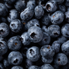 Blueberry Powder