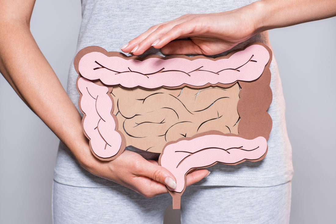 Essential Strategies for Controlling IBS Flare-Ups: A Detailed Guide