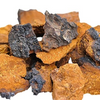 Chaga Extract