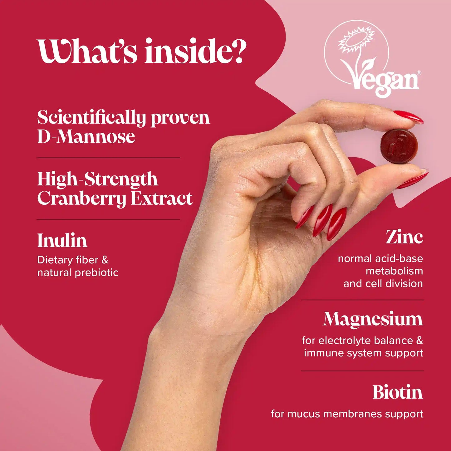 Women's All-in-One Wellness Bundle