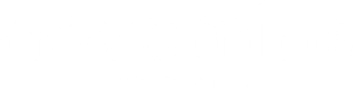 Novomins logo