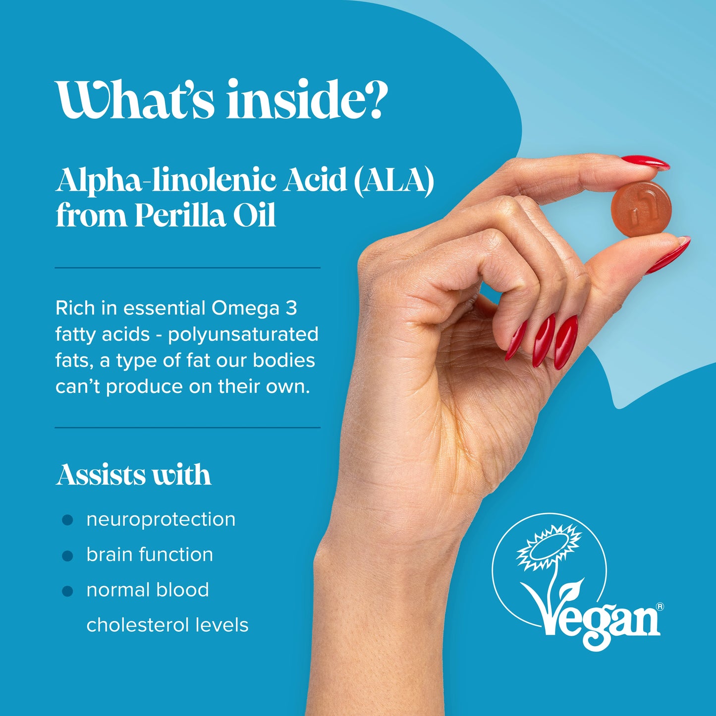 ALA from perilla oil assists with brain function, normal blood cholesterol levels, neuroprotection