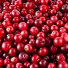 Cranberry Extract